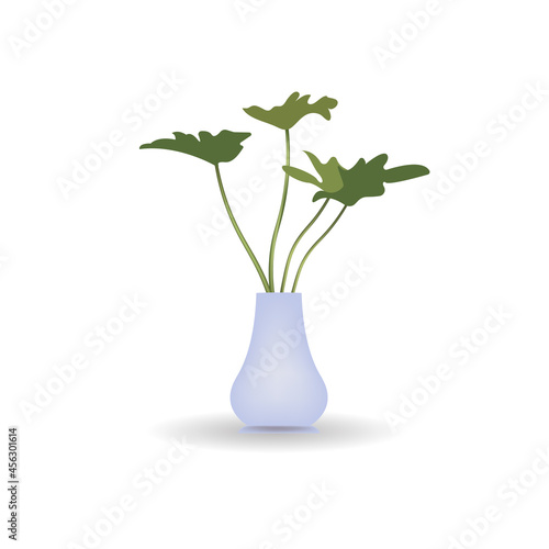 vector illustration of a botanical in a pot. isolated white background