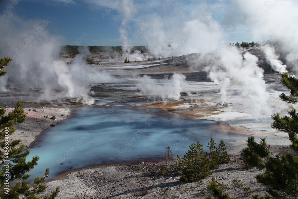 Norris Geyser Basin in Yellowstone National Park, Wyoming