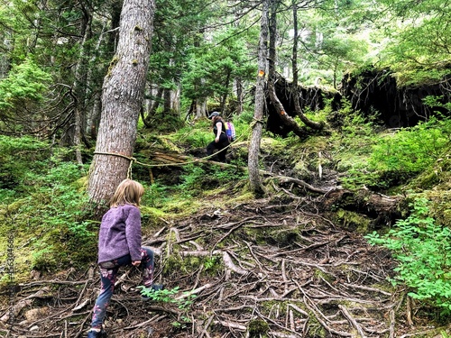 Wallpaper Mural A mother and daughter in haida gwaii, british columbia, canada, doing the sleeping beauty hike. Hiking up a difficult trail with lots of roots Torontodigital.ca