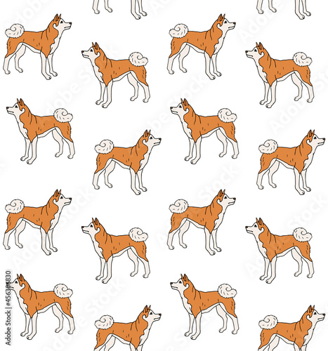 Vector seamless pattern of hand drawn doodle sketch colored Japanese akita inu dog isolated on white background