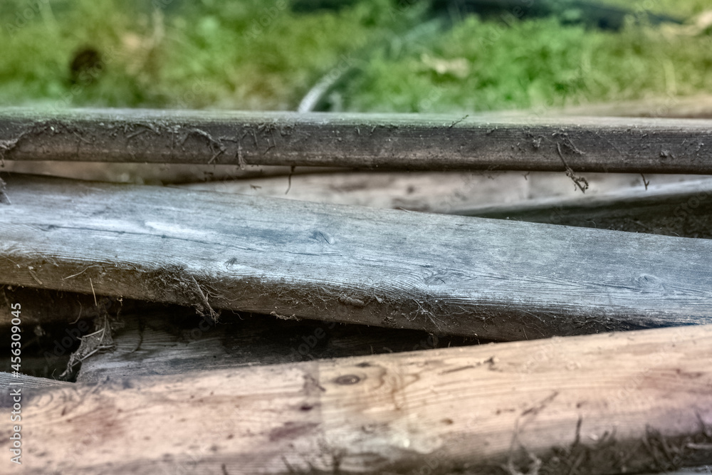 old scratched boards laying on grass in summer old scratched boards laying on grass in summer