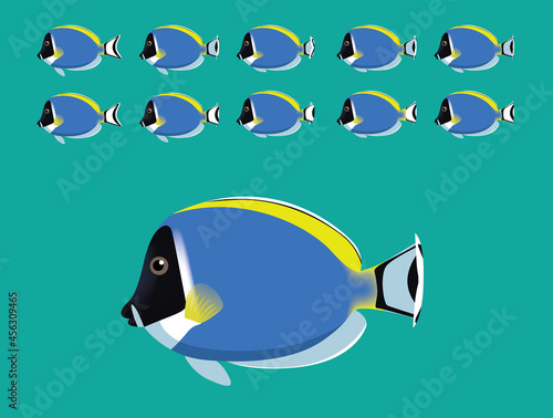 Animal Animation Sequence Powder Blue Tang Swimming Cartoon Vector