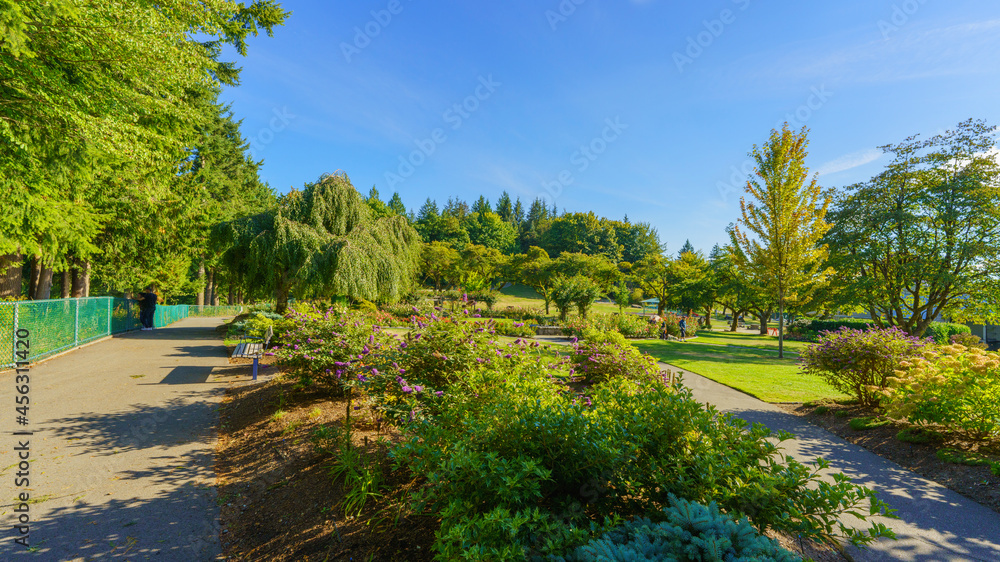 Late summer garden at scenic Burnaby Mountain park, BC Late summer garden at scenic Burnaby Mountain park, BC
