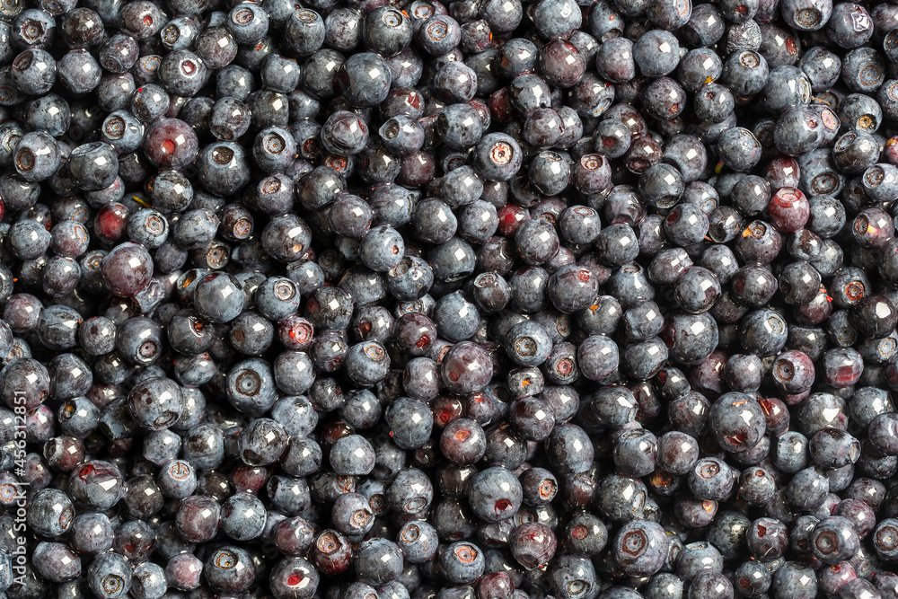 Surface covered with a layer of wild forest blueberry, close up Surface covered with a layer of wild forest blueberry, close up