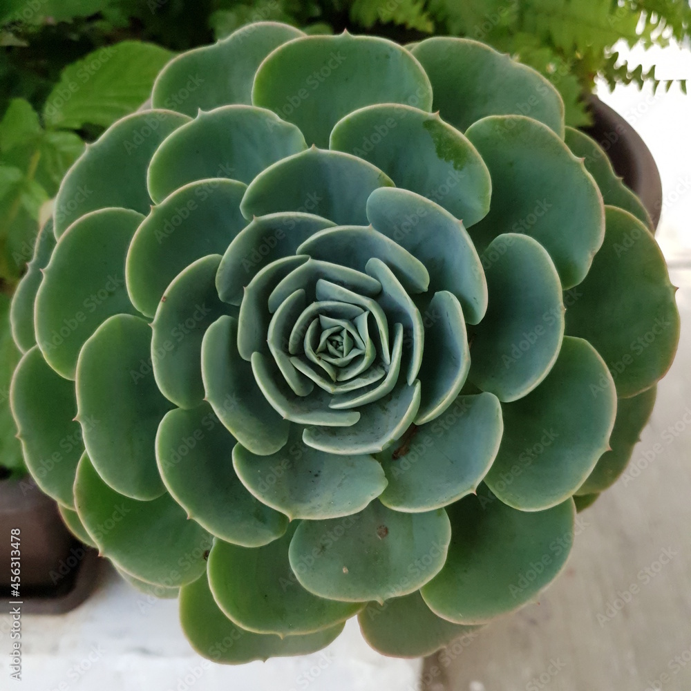 SACRED GEOMETRY SACRED GEOMETRY
