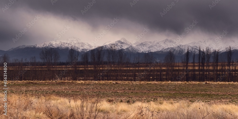Treeline against the Andes mountains in the background in Tupungato, Mendoza, Argentina, in a dark cloudy day.