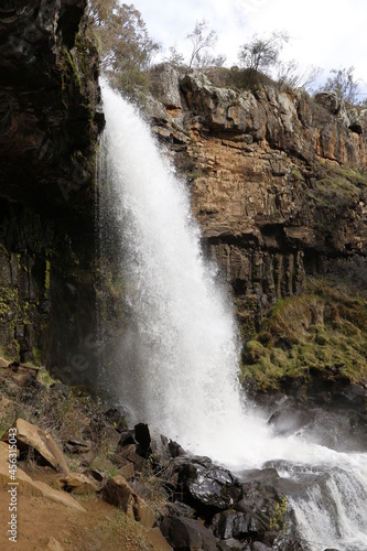 waterfall in the forest