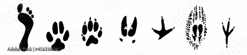 Vector set of human and animal, bird footprints icon. Collection of bare human foots, cat, dog, bird, chicken, hen, crow, duck footprint. Design for frames, invitation and greeting cards
