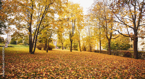 Autumn park in Vyborg, Russia