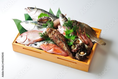 Obraz na płótnie 日本海の新鮮な魚 食材 籠盛り
