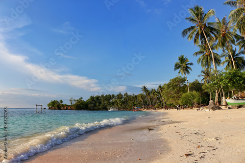 beach with palm trees