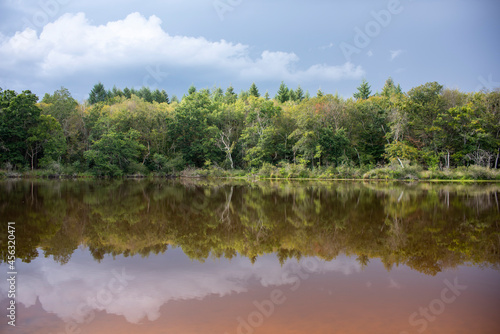 Fototapeta Naklejka Na Ścianę i Meble -  reflection of a forest on the edge of a lake with beautiful clouds
