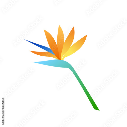 Isolated birds of paradise flower vector illustration