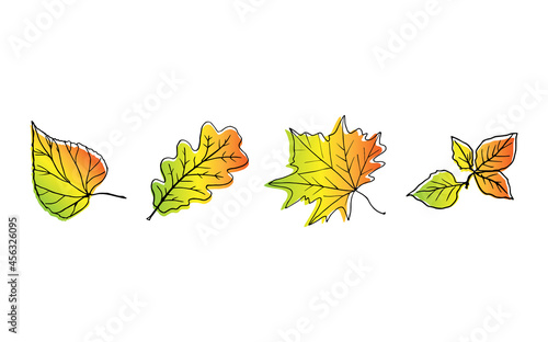 Composition of autumn leaves of linden, maple, oak, birch. Leaves of all shades of autumn - red, yellow, green, gold.