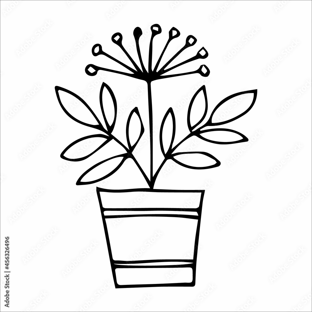 Hand drawn indoor plant in a pot, doodle design. Home plants. Illustration for print, web, mobile and infographics.