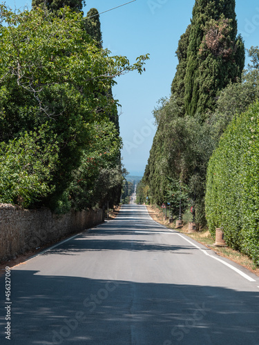 Characteristic Long Road of the Medieval Village of Bolgheri in Tuscany surrounded by Cypresses - Italy