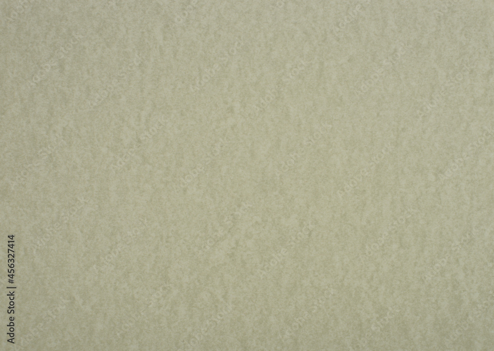 Eagle colour paper background. Blank paper texture. Eagle colour paper background. Blank paper texture.