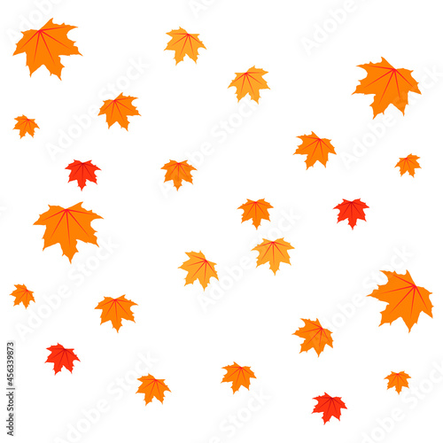 vector autumn