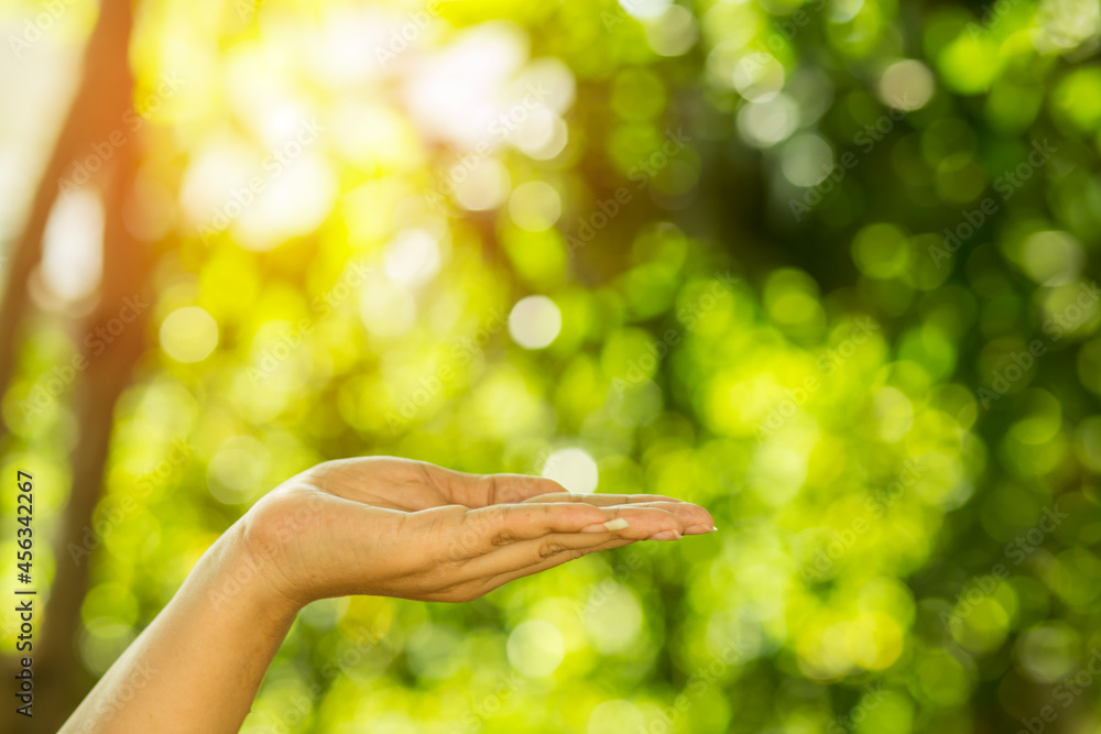 Technology, hand holding with environment Icons over the Network connection on green background Technology, hand holding with environment Icons over the Network connection on green background