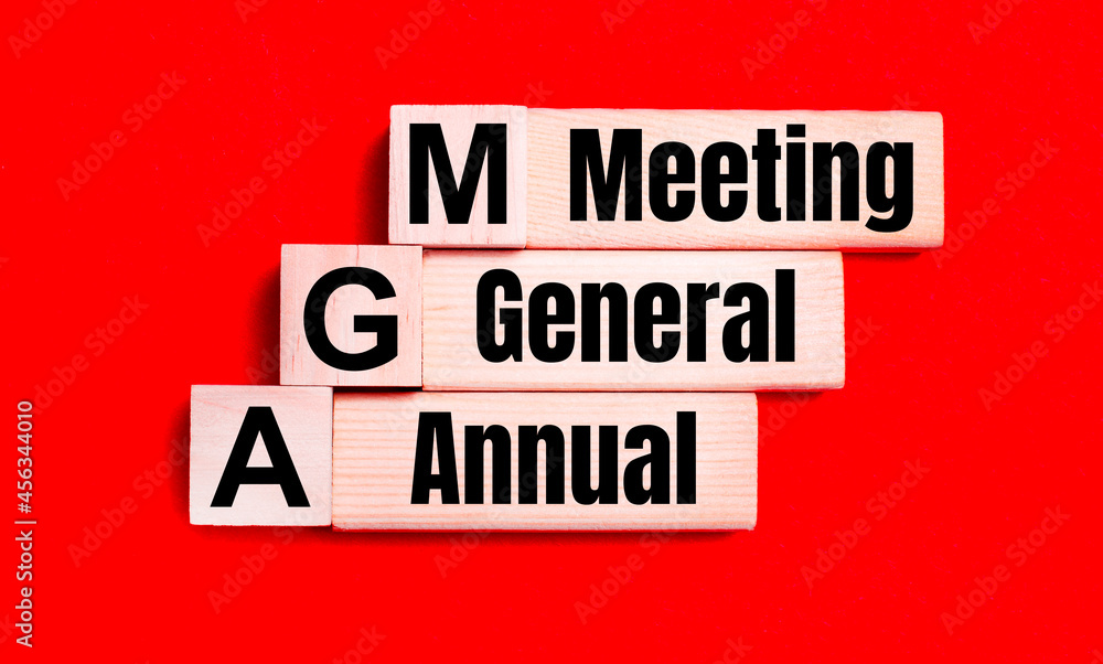 On a bright red background, light wooden blocks and cubes with the text AGM Annual General Meeting