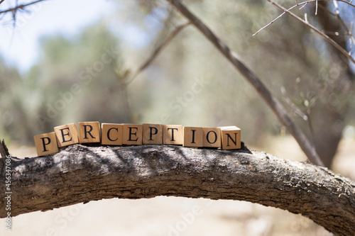 The word perception was created from wooden cubes. photo