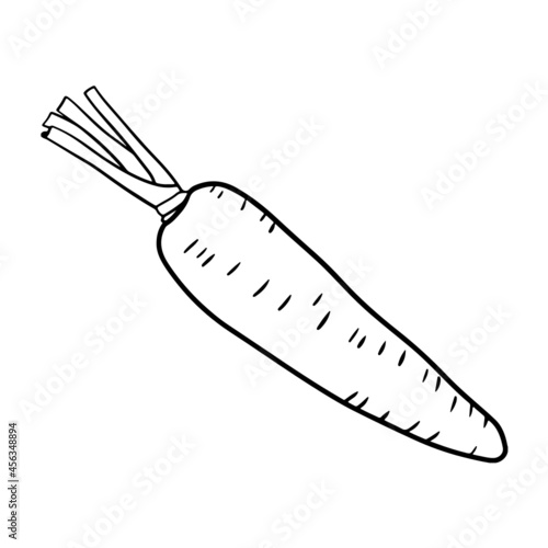 Carrot Line Art Logo Vegetable Vege Vegan Health Healthy Food  