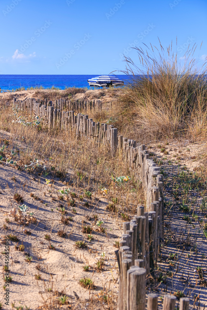 Lonely umbrella behind the dunes: Punta Prosciutto Beach in Puglia (Italy)  stretches inside the Nature Park “Palude del Conte e Duna Costiera”, offering a corner of paradise in Salento.