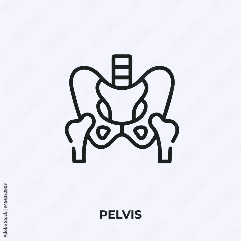 pelvis icon vector. Linear style sign for mobile concept and web design. pelvis symbol illustration. Pixel vector graphics - Vector.
pelvis icon vector. Linear style sign for mobile concept and web design. pelvis symbol illustration. Pixel vector graphics - Vector.