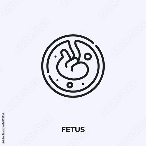 fetus icon vector. Linear style sign for mobile concept and web design. fetus symbol illustration. Pixel vector graphics - Vector.
