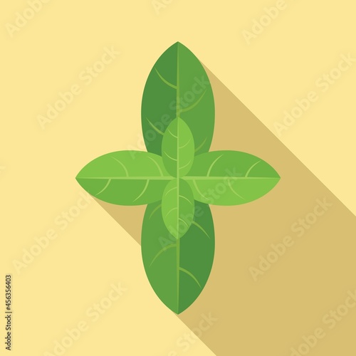 Basil leaves icon flat vector. Herb plant