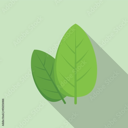 Basil spice icon flat vector. Cooking herb