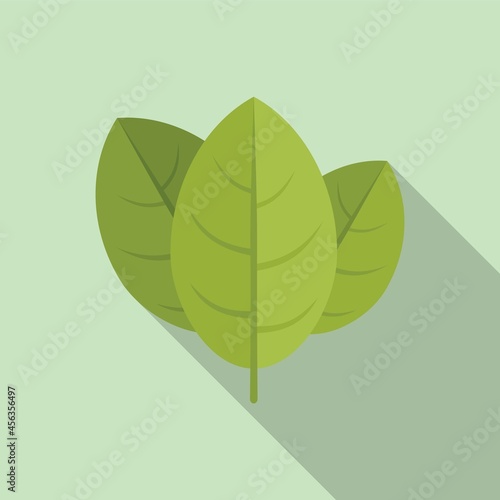 Cooking basil icon flat vector. Herb leaf