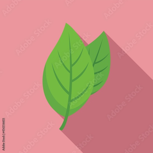 Basil spice plant icon flat vector. Herb leaf