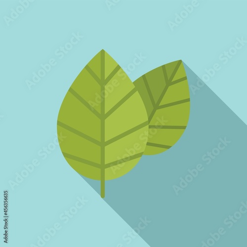 Aromatic basil food icon flat vector. Herb leaf