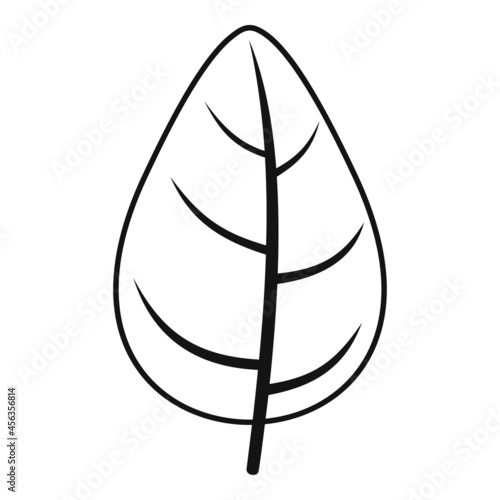 Aromatic basil icon simple vector. Spice leaf