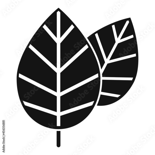 Basil spice plant icon simple vector. Herb leaf