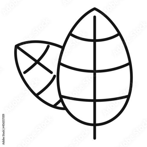 Basil herb icon outline vector. Spice leaf