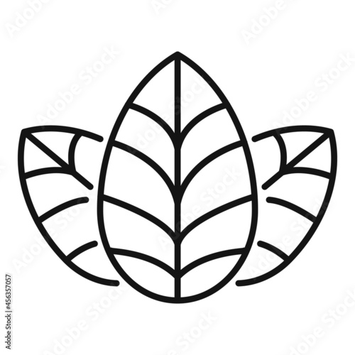 Basil plant icon outline vector. Leaf herb