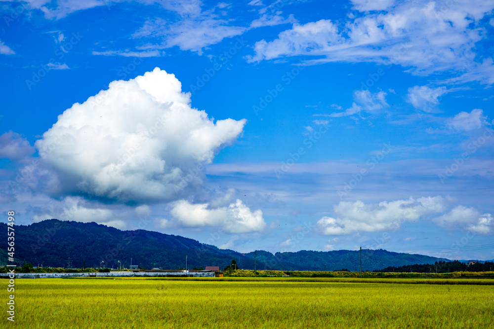 Obraz premium 日本有数の米処新潟県南魚沼の秋の空