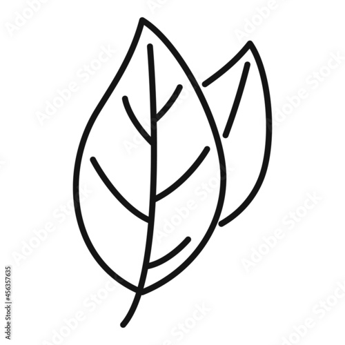 Basil spice plant icon outline vector. Herb leaf
