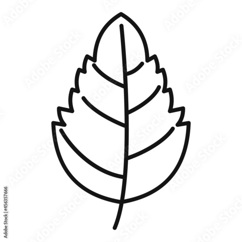 Aromatic basil leaf icon outline vector. Herb spice
