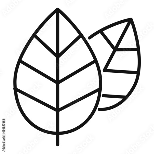 Aromatic basil food icon outline vector. Herb leaf