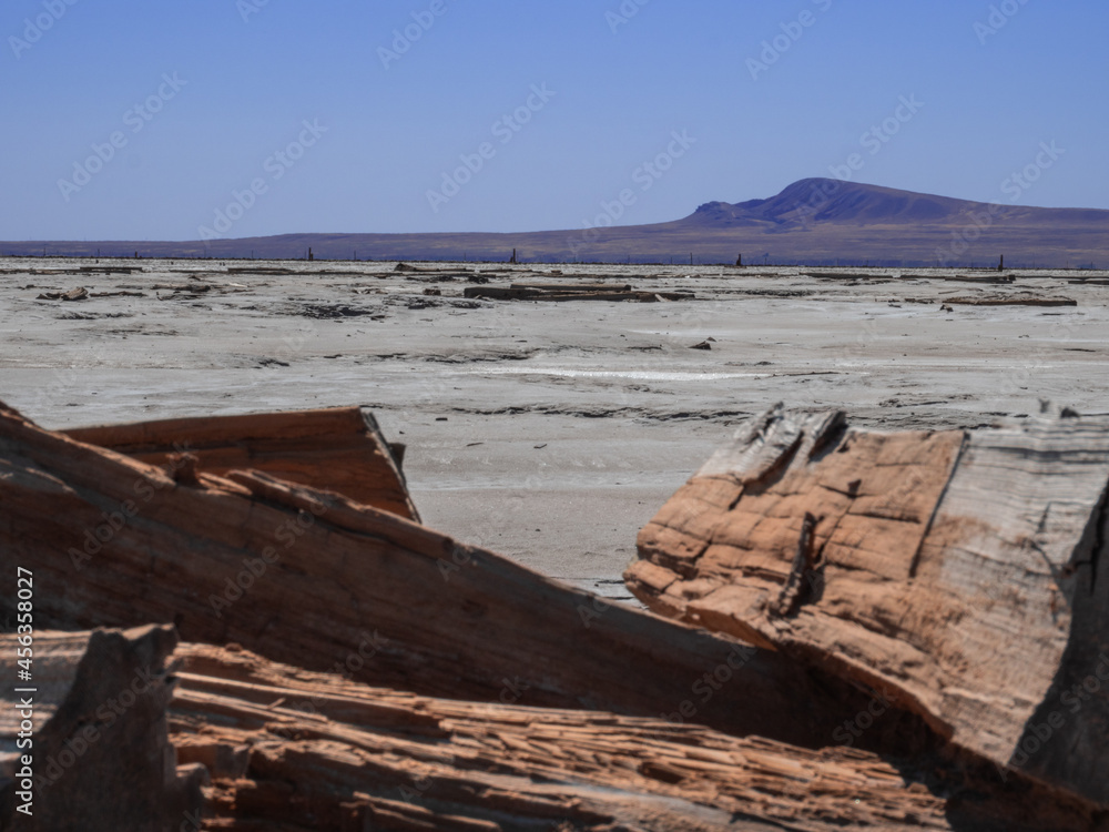 Post-apocalyptic like view of a desert and tree stump Post-apocalyptic like view of a desert and tree stump