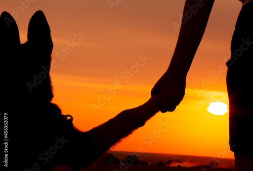 silhouette of a man and a dog, he handed the owner a paw