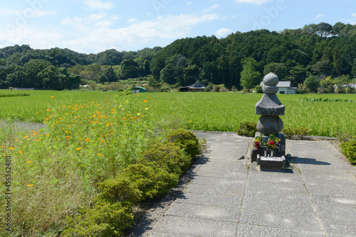 飛鳥寺 蘇我入鹿首塚 奈良県明日香村