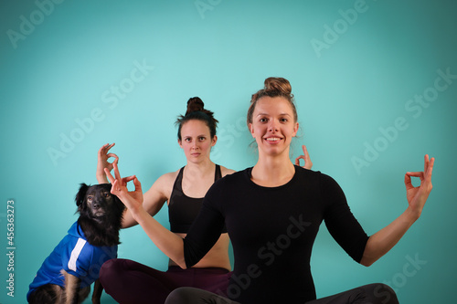 Sport with a dog. Two athletic girls working out, doing yoga on blue background with dog. Strength and motivation, sport and healthy lifestyle, keep fit cocepts. Female fitness. photo