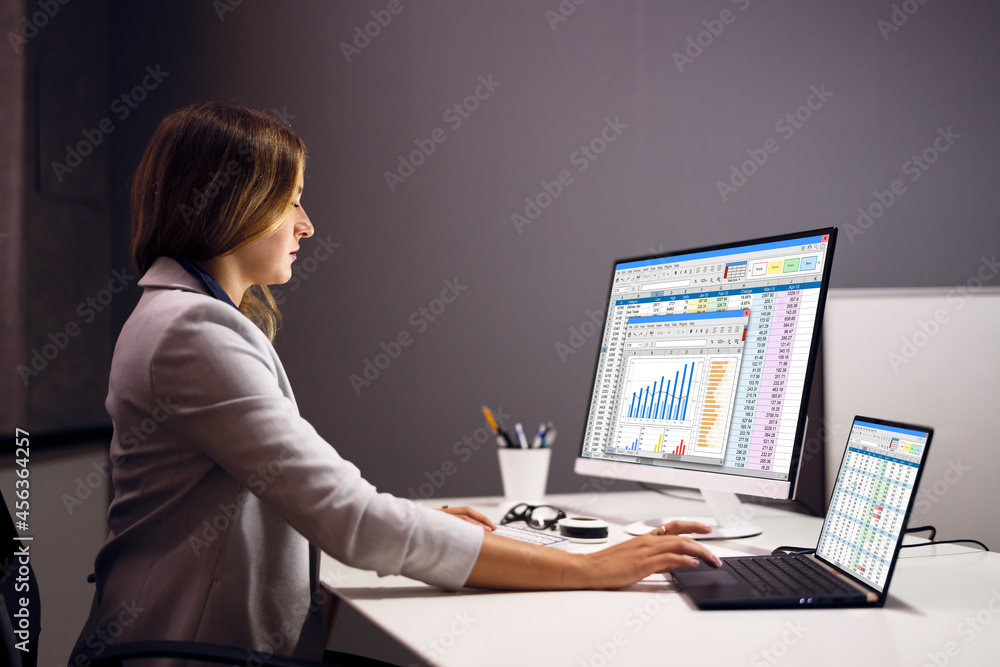 Woman Using Finance Spreadsheet Report Woman Using Finance Spreadsheet Report