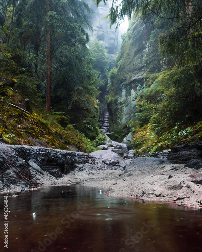 A rainy path through the green valley