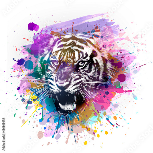 tiger head with background