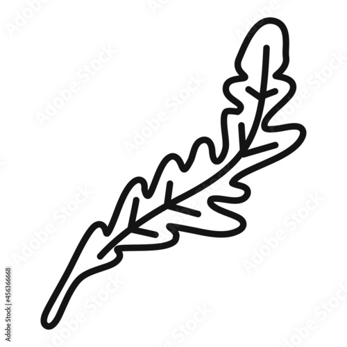 Arugula herb icon outline vector. Rucola salad